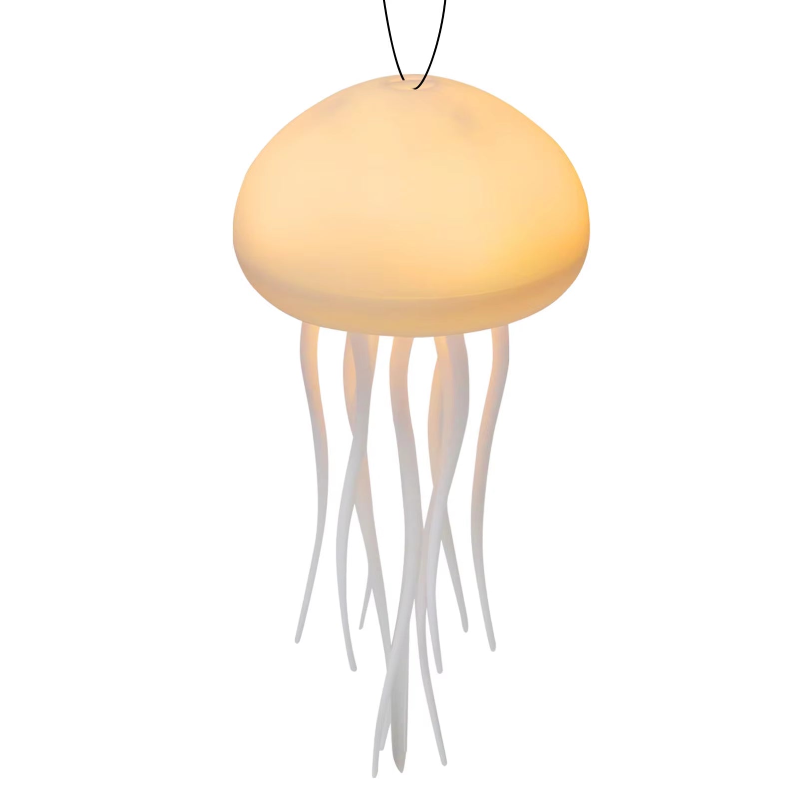 The Jellyfish Atmosphere Light